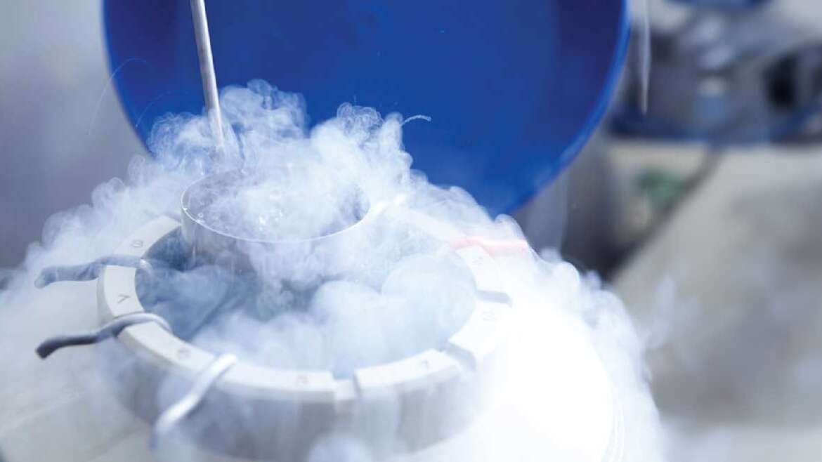 Egg Freezing