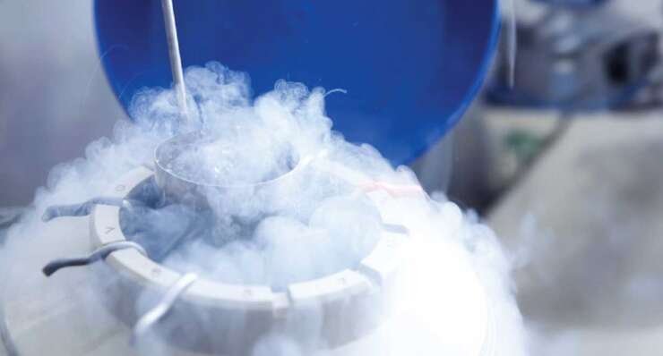 Egg Freezing