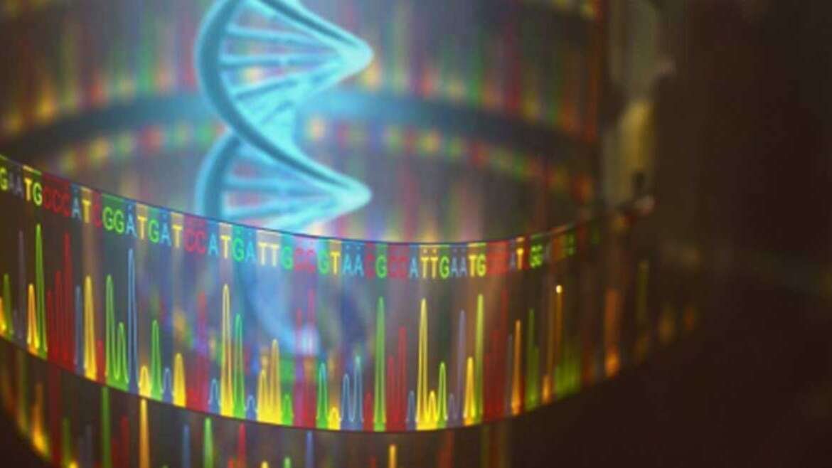 NGS (Next Generation Sequencing)