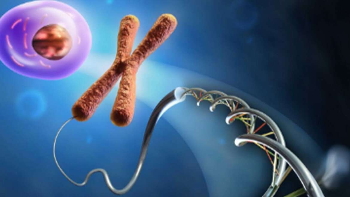 PGT – Preimplantation Genetic Testing