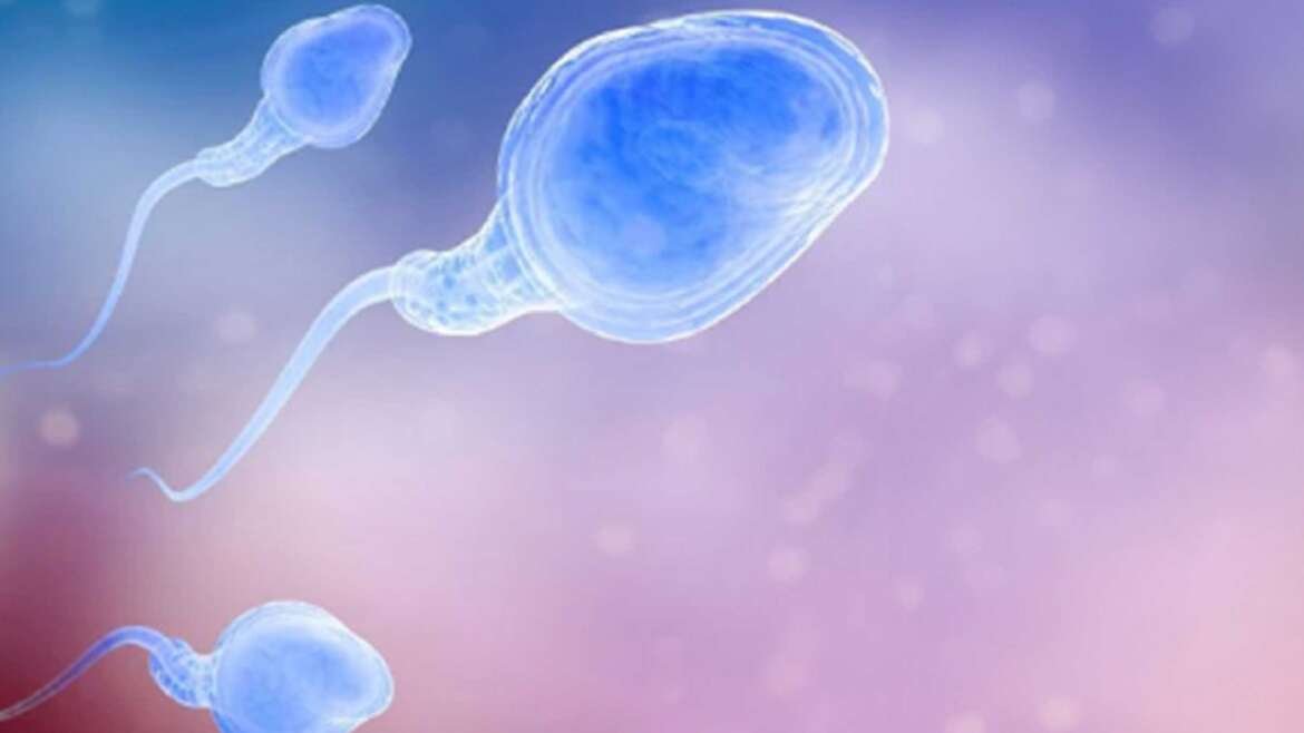Sperm donation