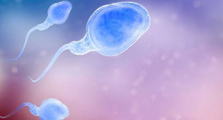 Sperm donation
