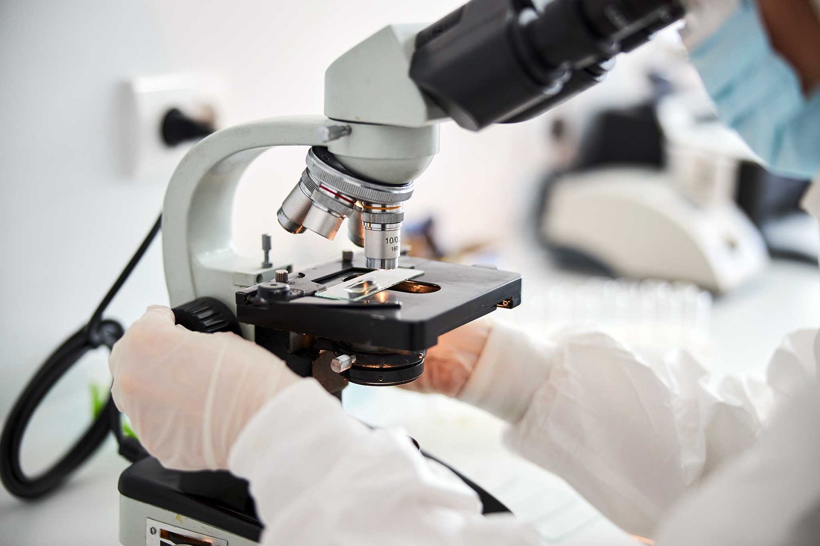 Ventus IVF tüp bebek merkezi ekibi